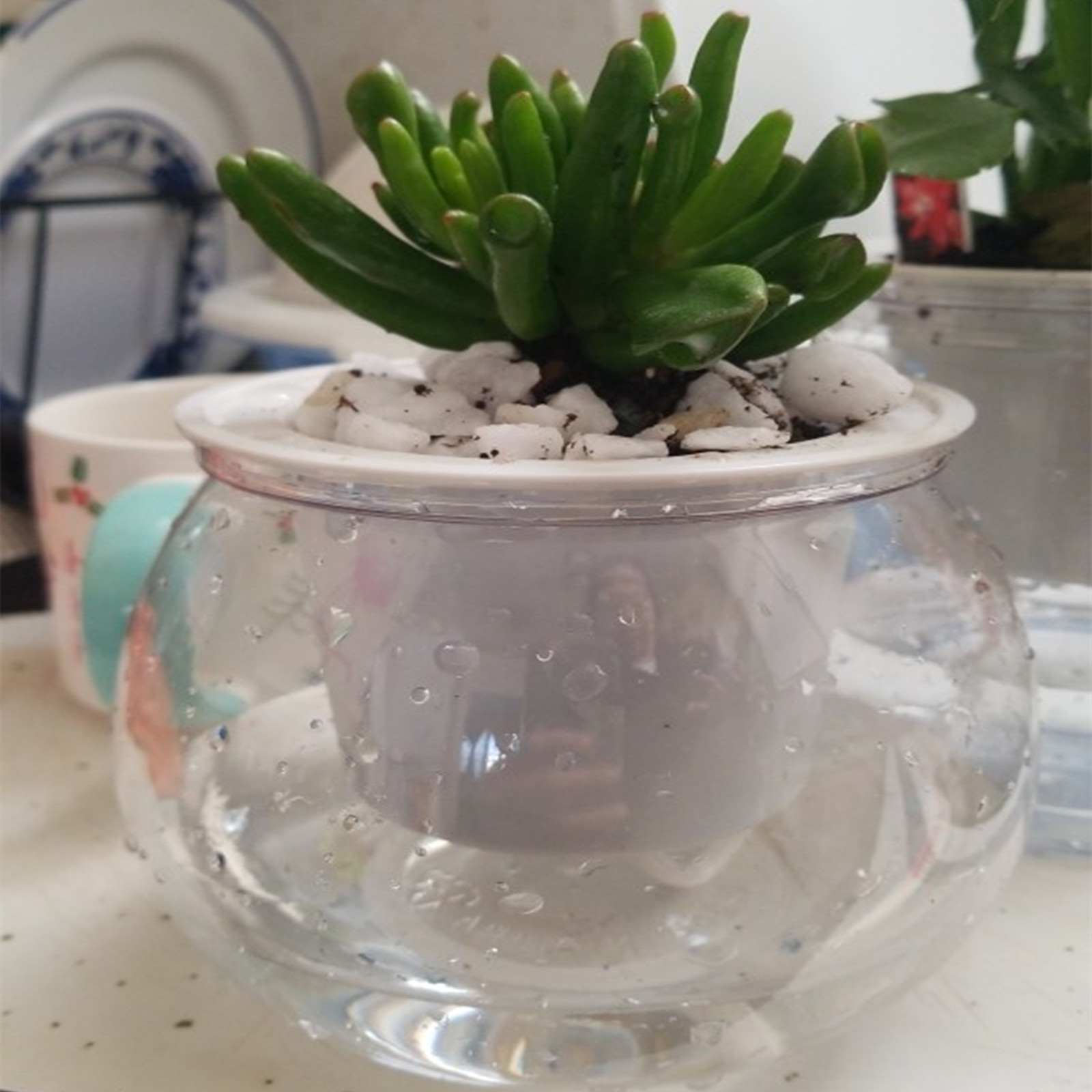 Japanese Garden Bonsai - Self Watering Planter หม้อมินิกระถางดอกไม้ในร่มกระถางต้นไม้ Succulent Plant