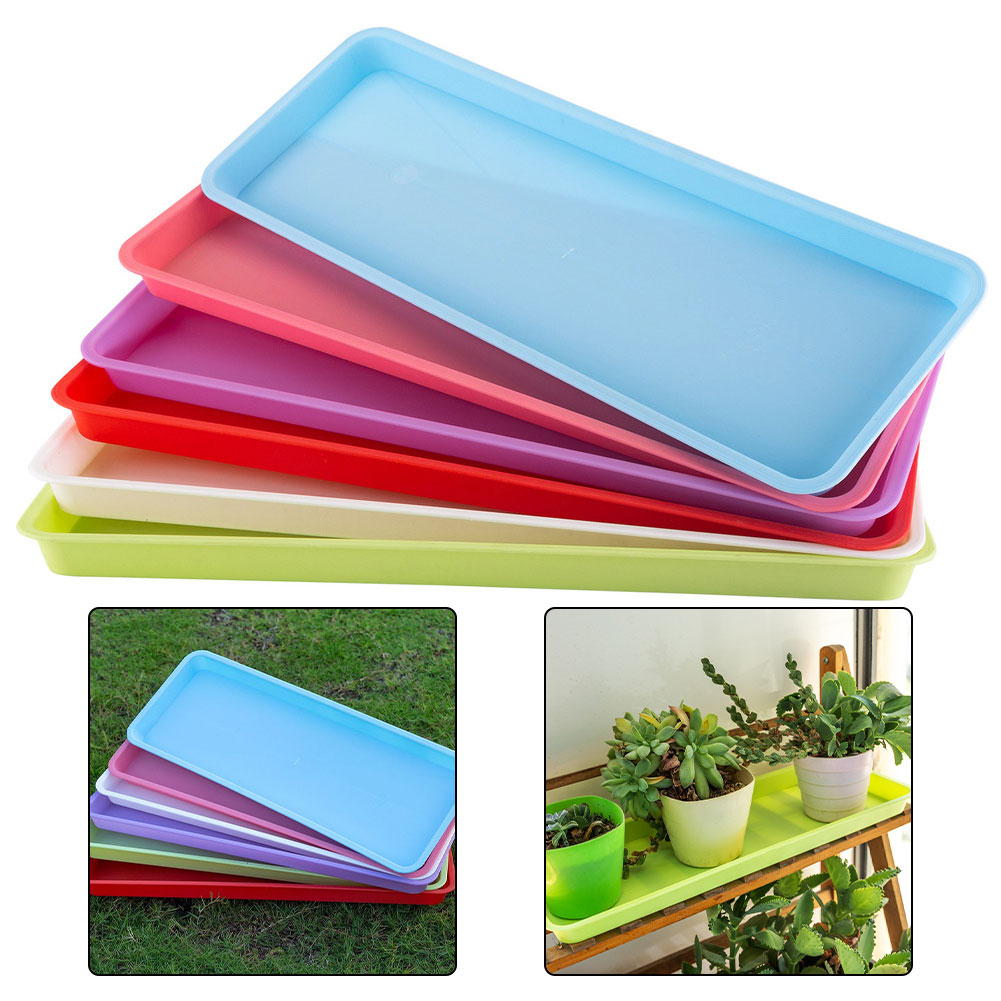 จานรองกระถางต้นไม้พลาสติก 6 ชิ - Drip Tray Saucer บทวิจารณ์และราคา