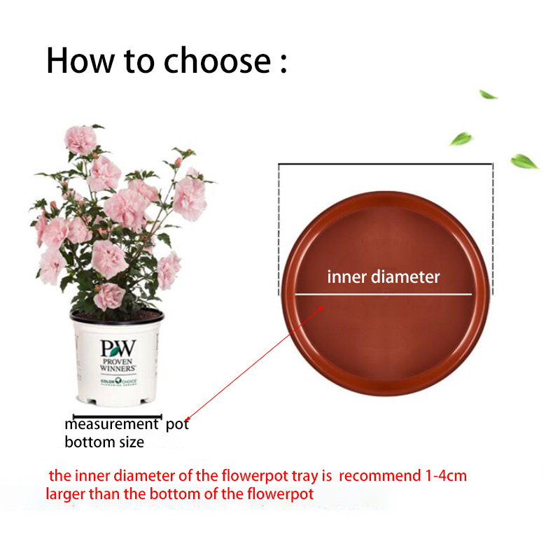 10pcs ดอกไม้พลาสติกหม้อถาดฐานพ - Drip Tray Saucer บทวิจารณ์และราคา