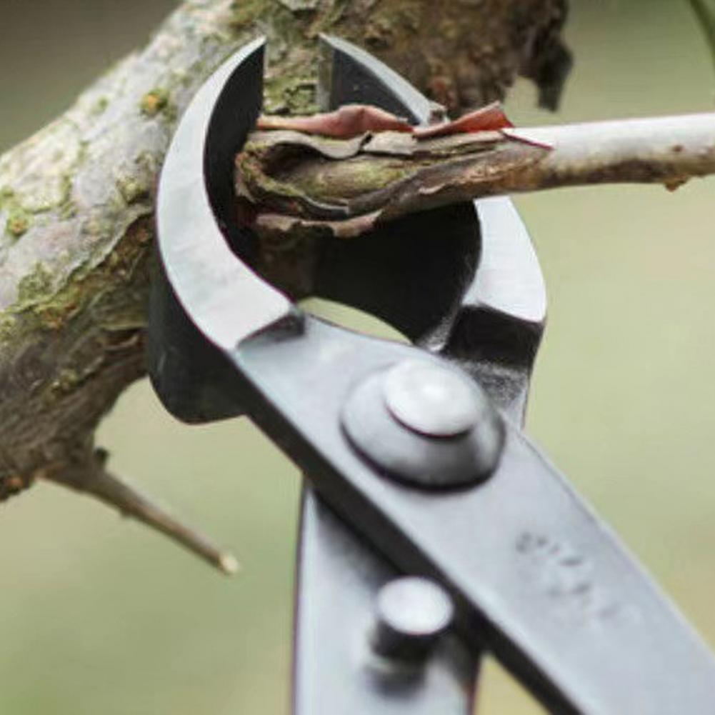 กรรไกรตัดกิ่งบอนไซแบบเว้า ทำจา - Concave Branch Cutter บทวิจารณ์และราคา