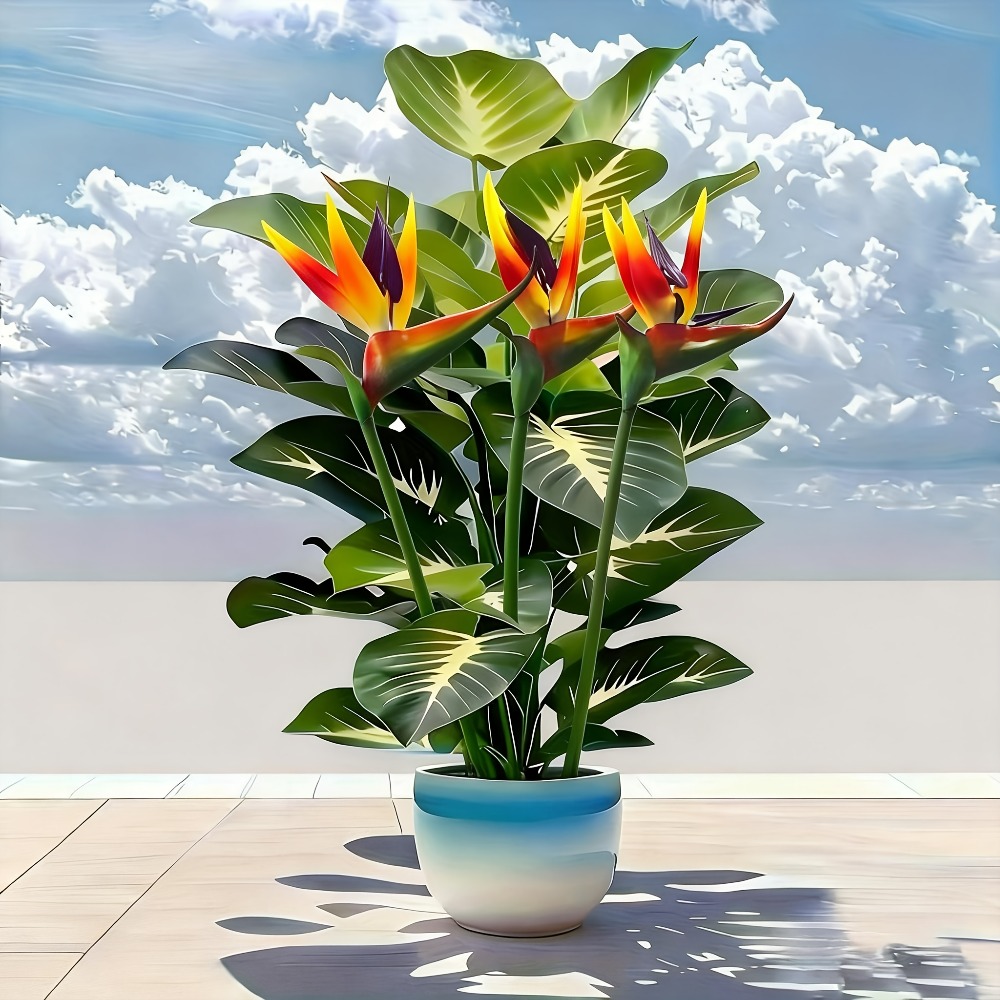 ต้นปักษาสวรรค์และต้นโพธิ์ประดิ - Bonsai Garden Zen บทวิจารณ์และราคา