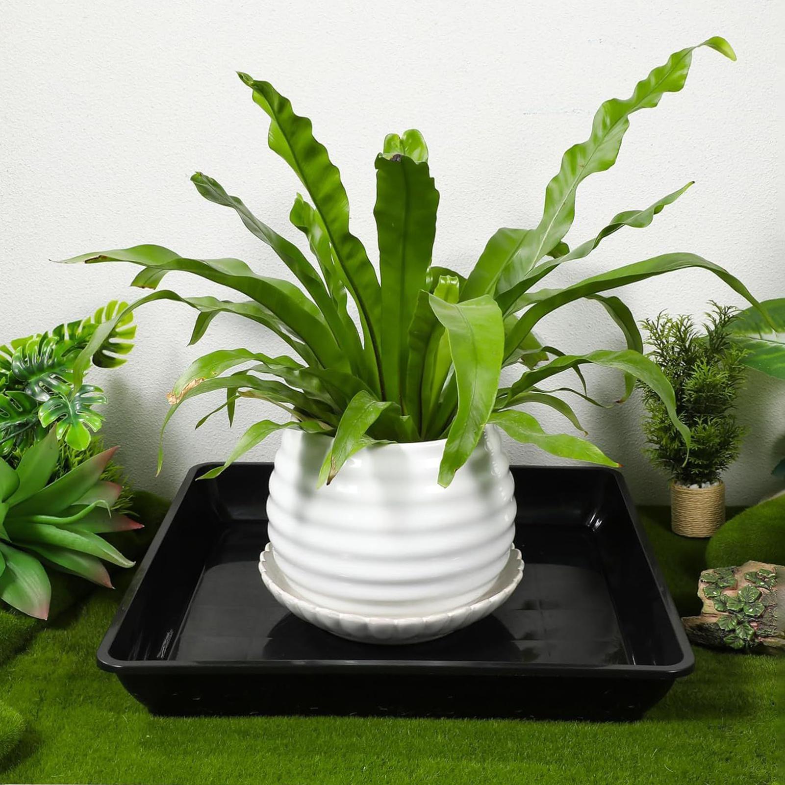 2 ชิ้นดอกไม้หม้อฐานหนาระเบียงถ - Drip Tray Saucer บทวิจารณ์และราคา