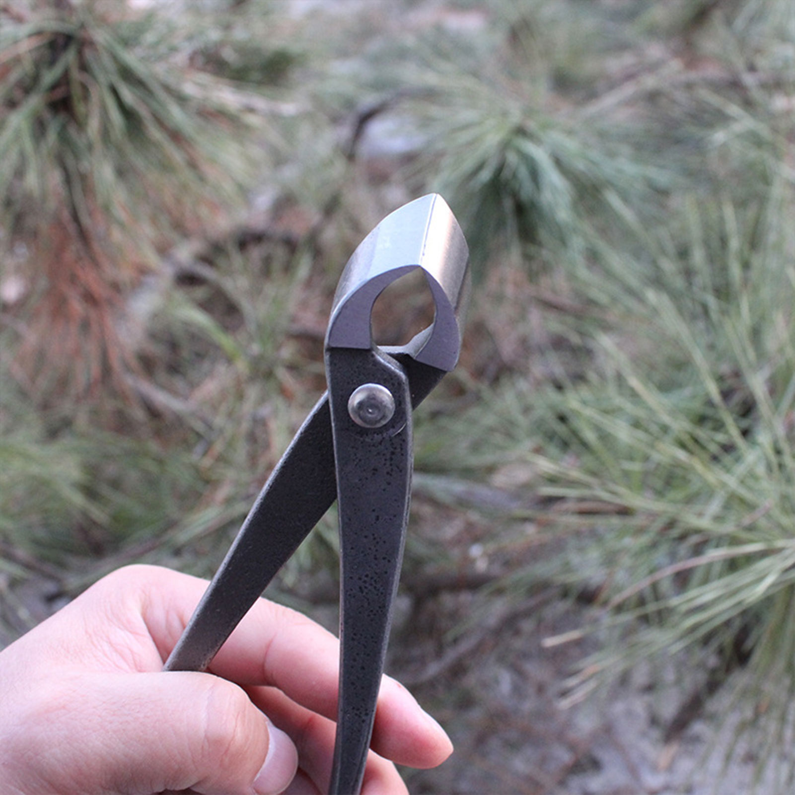 สวนบอนไซเครื่องตัดลูกบิดเว้าเค - Concave Branch Cutter บทวิจารณ์และราคา