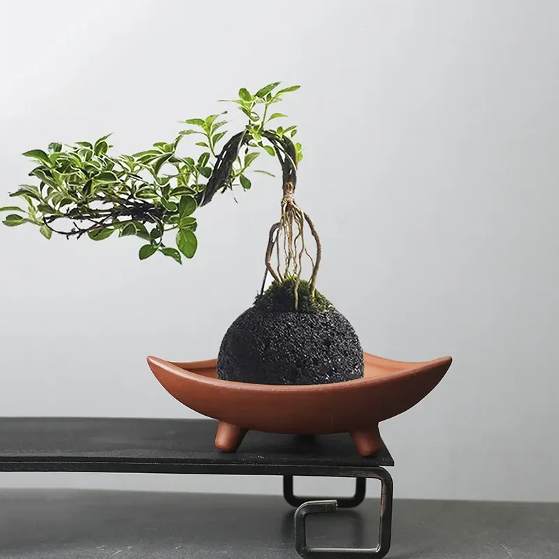 กระถางต้นไม้เซรามิคส่วนบุคคลสำ - Japanese Garden Bonsai บทวิจารณ์และราคา