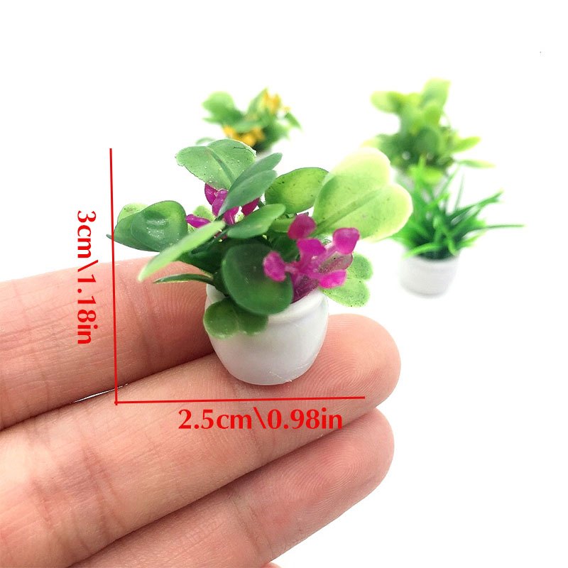 ต้นไม้บ้านตุ๊กตา, ต้นไม้บอนไซจ - Bonsai Garden Zen บทวิจารณ์และราคา