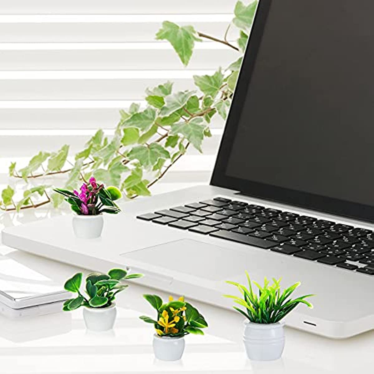 ต้นไม้บ้านตุ๊กตา, ต้นไม้บอนไซจ - Bonsai Garden Zen บทวิจารณ์และราคา