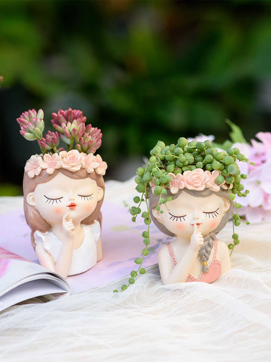 นางฟ้า succulents กระถางดอกไม้ - Japanese Garden Bonsai บทวิจารณ์และราคา