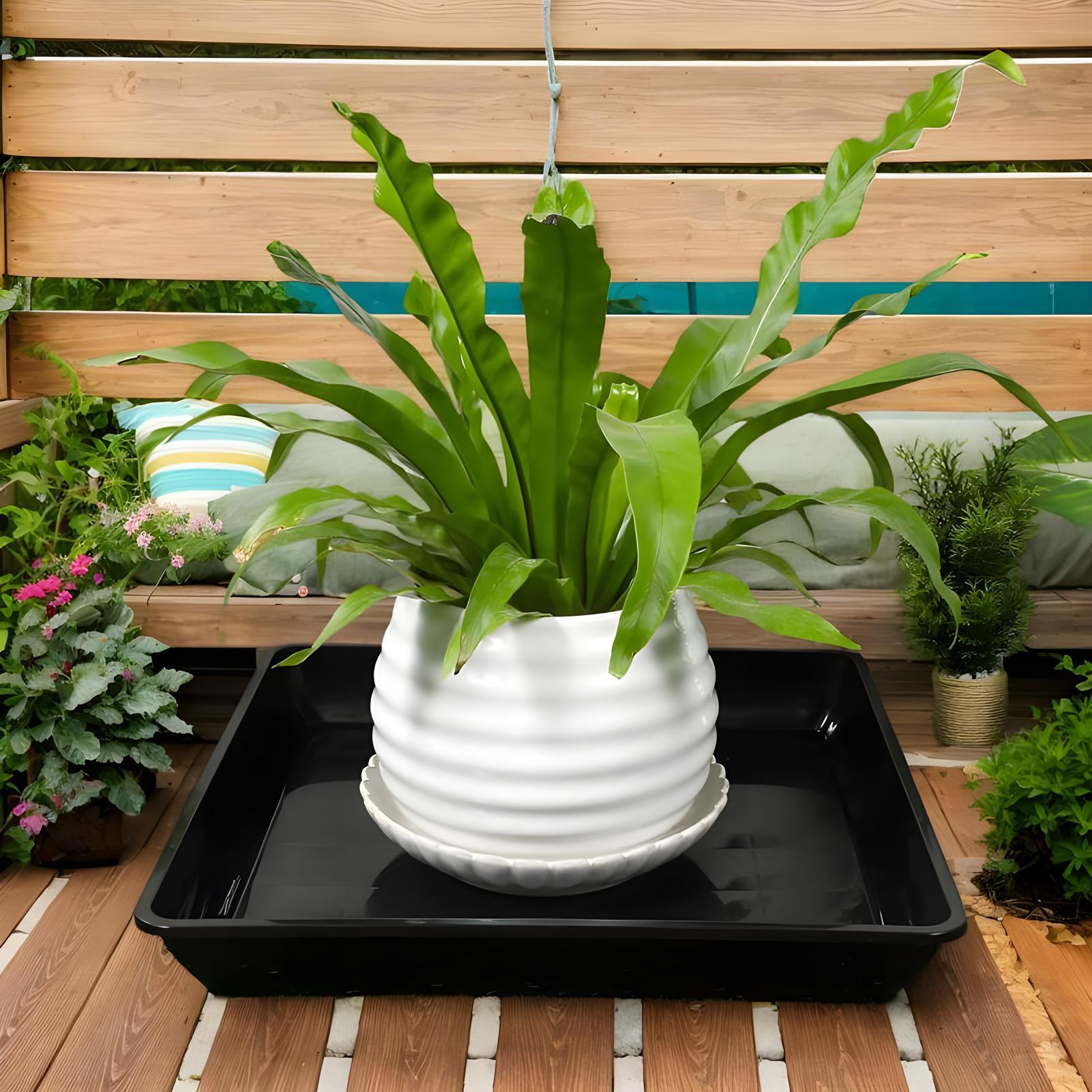 ถาดรองกระถางต้นไม้ 2 ชิ้น ถาดร - Drip Tray Saucer บทวิจารณ์และราคา