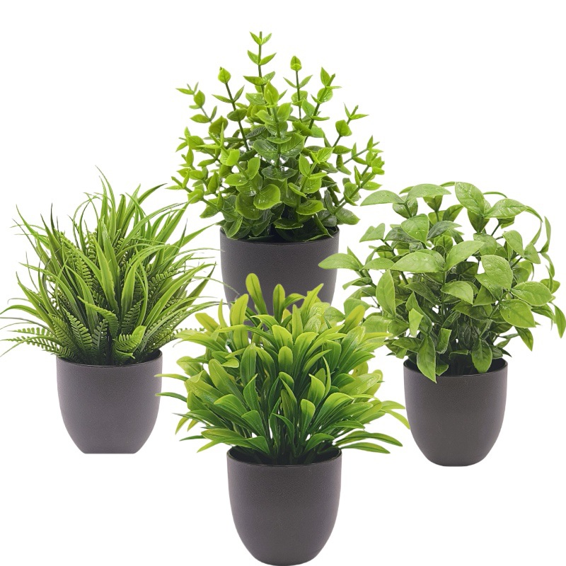 ต้นไม้จำลองสีเขียว บอนไซ ของตก - Bonsai Garden Zen บทวิจารณ์และราคา
