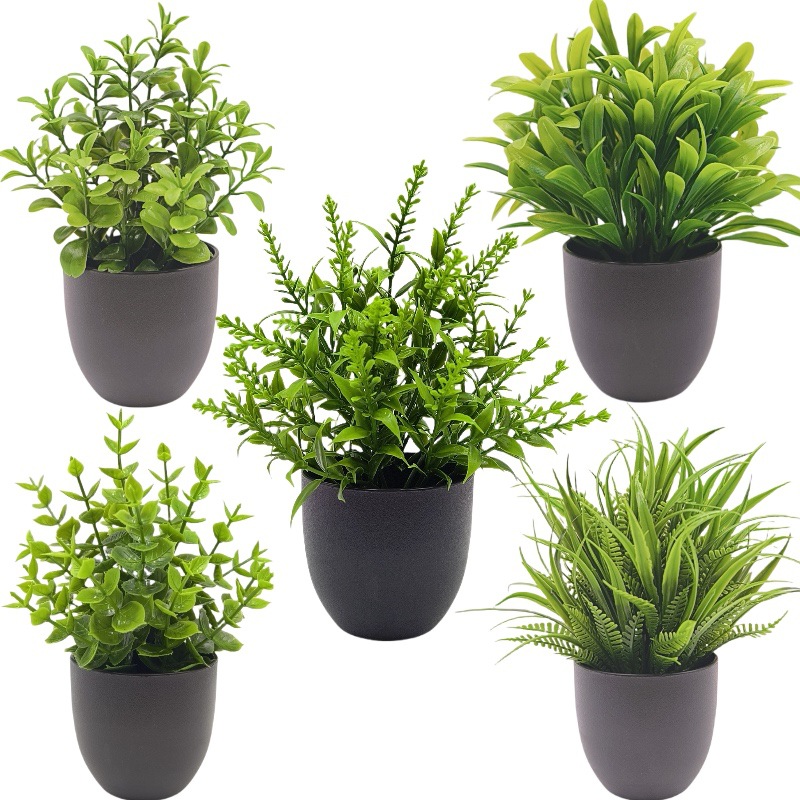 ต้นไม้จำลองสีเขียว บอนไซ ของตก - Bonsai Garden Zen บทวิจารณ์และราคา