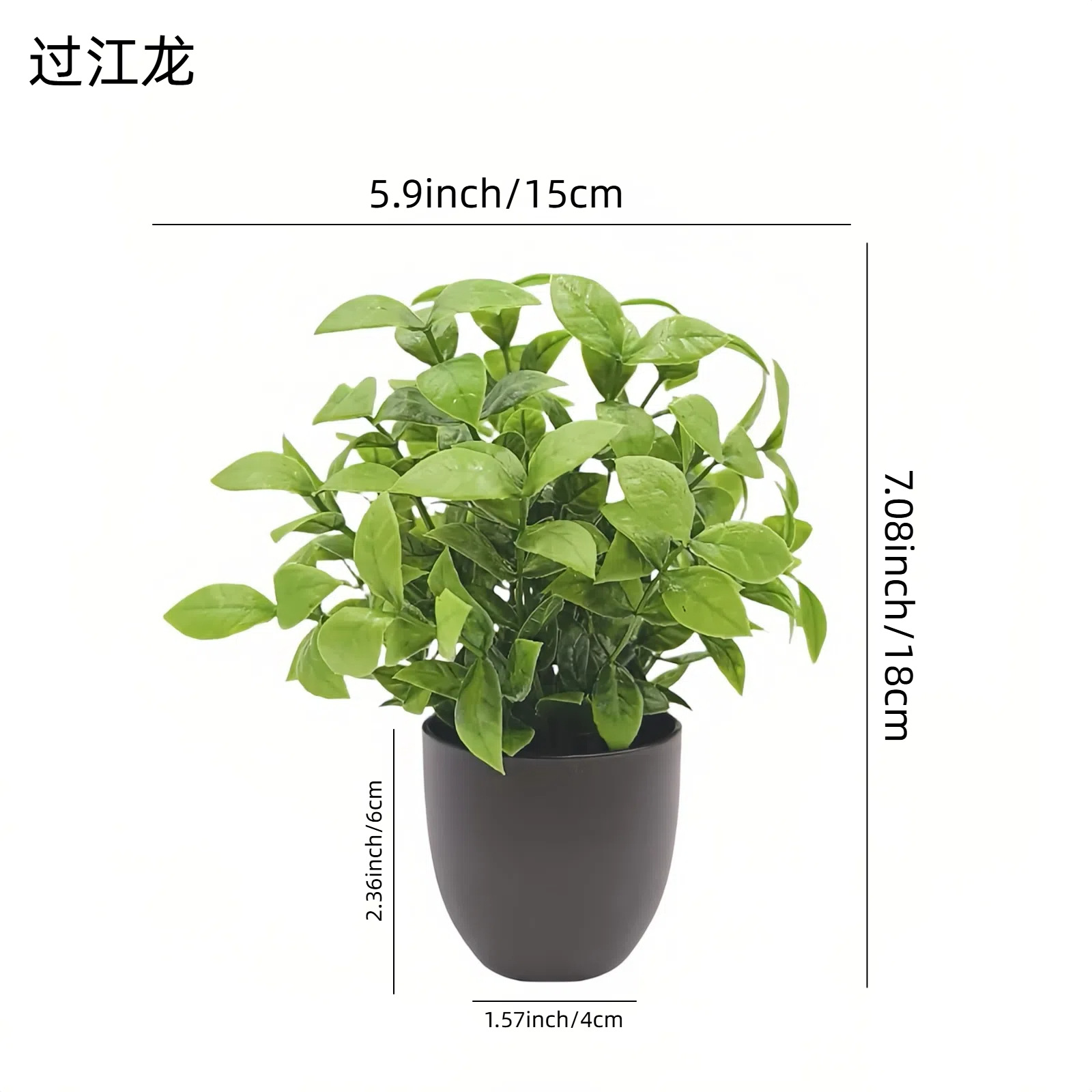 ต้นไม้จำลองสีเขียว บอนไซ ของตก - Bonsai Garden Zen บทวิจารณ์และราคา