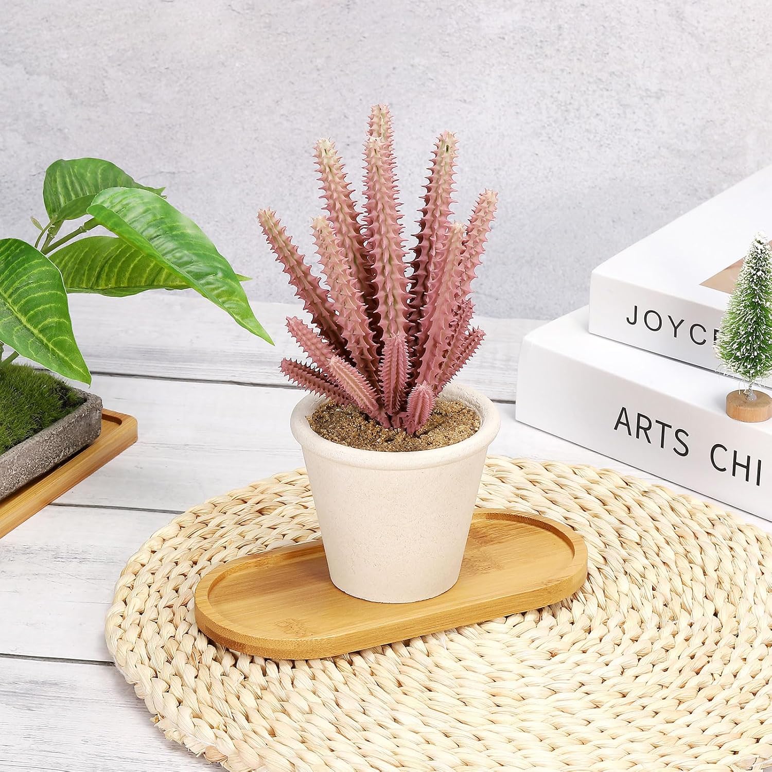 ถาดรองกระถางต้นไม้ไม้ไผ่ 4 ชิ้ - Drip Tray Saucer บทวิจารณ์และราคา
